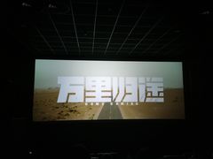 -保定金棕榈先天下国际影城(LUXE)
