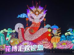 -花博汇(知音花月夜)