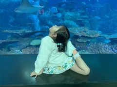 -新加坡海洋生态馆