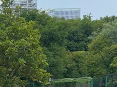 -杭州野生动物世界