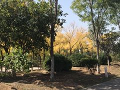 -永定河休闲森林公园