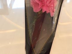-洪氏嗨捞·广东猪肚鸡·椰子鸡火锅(西咸万象城店)