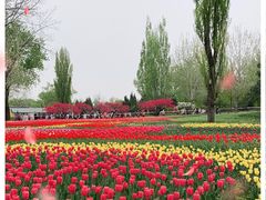 -国家植物园
