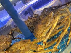 -一方渔歌蒸汽海鲜自助(文化路万达广场店)