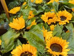 -花里花店(唐镇阳光天地店)