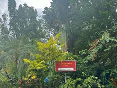 -Kinnaree by Vanessa WU