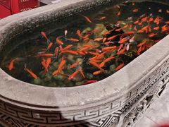 -黄家码头老火锅(解放碑旗舰店)