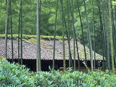 -黄公望隐居地