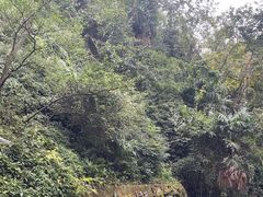 -窦圌山风景区