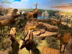 -陕西自然博物馆