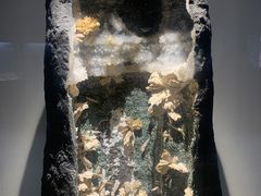 -重庆自然博物馆(新馆)
