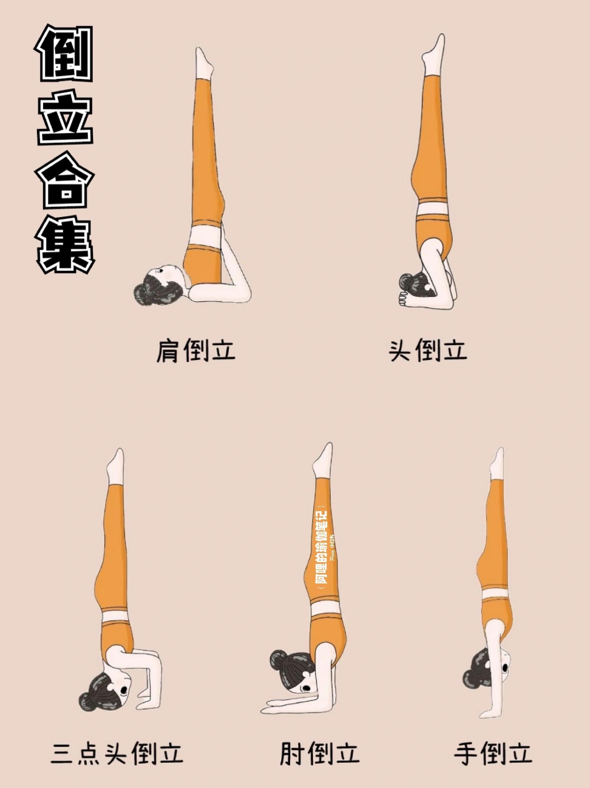 瑜伽体式笔记—倒立合集