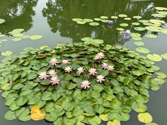 -国家植物园南园