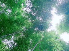 -南山风景名胜区