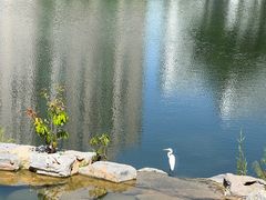 -四海公园(南山区)