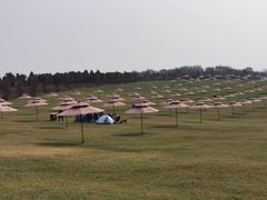 -南京枫彩漫城