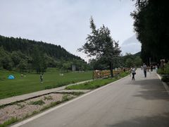 -武陵山森林公园