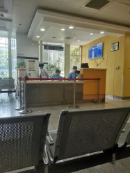 -上海交通大学医学院附属上海儿童医学中心(陆家嘴总院区)