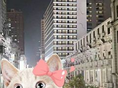 -武汉帝盛酒店(江汉路步行街店)