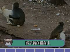 -昆明动物园