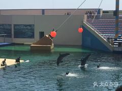 -秦皇岛乐岛海洋王国