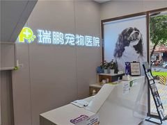 -瑞鹏宠物医院·微创内窥镜·骨外科·牙科(翠竹分院)