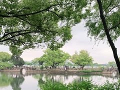 -无锡蠡湖国家湿地公园-蠡园