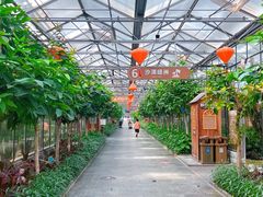 -南宫五洲植物乐园