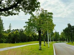 -白鹭湾湿地公园