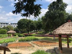 -天河儿童公园