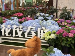 -盈香心动乐园