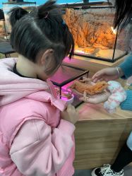 -Moni星球萌宠·小马宝莉·灵蛇·高端高阶全萌宠互动体验俱乐部(红豆国际广场店)