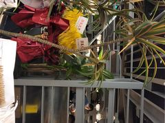 -湊湊火锅·茶憩(皇姑万象汇店)