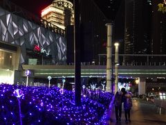 -黄浦江游览快线(金陵东路码头)