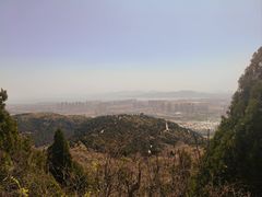 -府君山公园