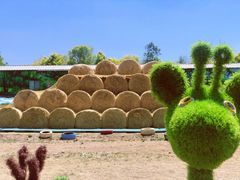 -北京鹿世界主题园