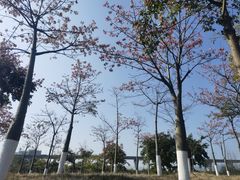 -琅岐红光湖公园