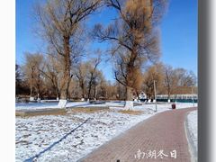 -长春市南湖公园