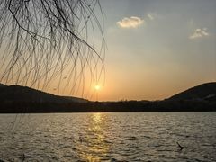 -长广溪湿地公园