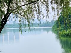 -洋湖国家湿地公园