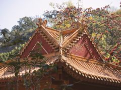 -南沙天后宫景区