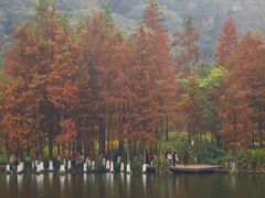 -重庆彩云湖湿地公园