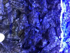 -农家霸王地锅鸡(国顺东路店)