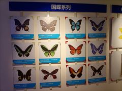 -吉林省自然博物馆