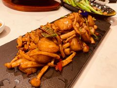 -荟廷·晶萃(陆家嘴尚悦湾店)