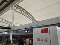 -浦江镇(地铁站)