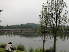 -枫香湖儿童公园