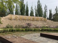 -永定河休闲森林公园