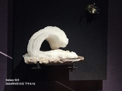 -山东博物馆