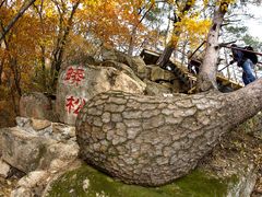 -丹东天桥沟景区